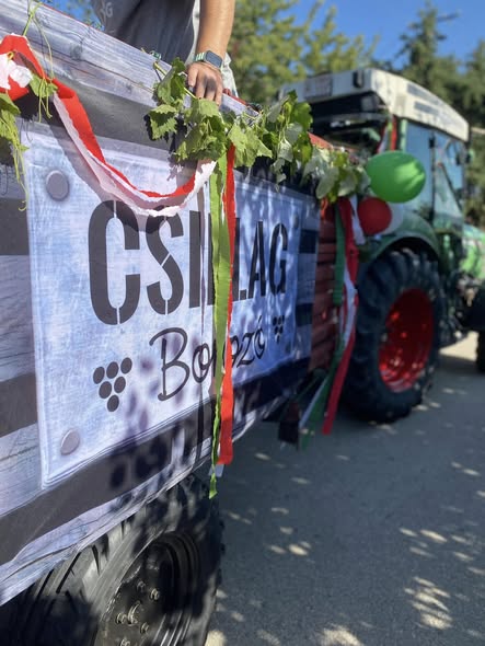 Szüreti felvonulás - Csillag Borozó