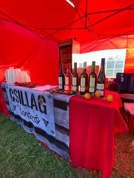 Csillag Borozó stand borral